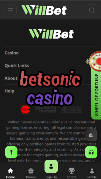 BetSonic Casino - Fast-Paced Casino Games-casinoorder.vip
